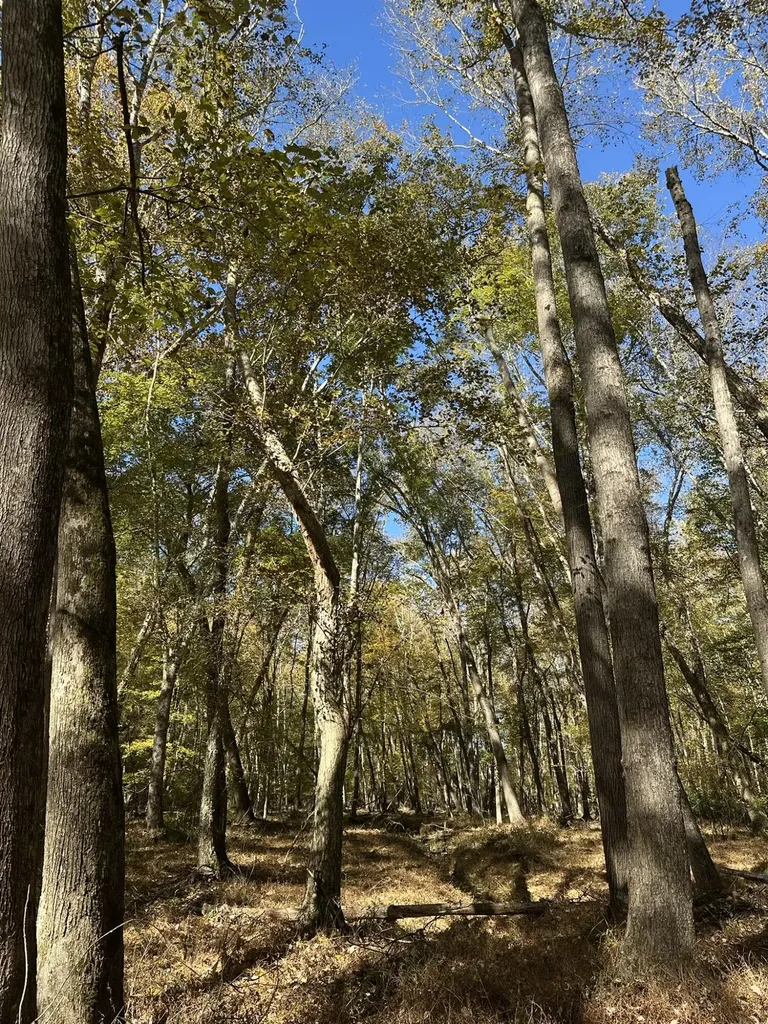 Lot 27&28 Lakeshore Estates Drive Lincolnton GA 30817