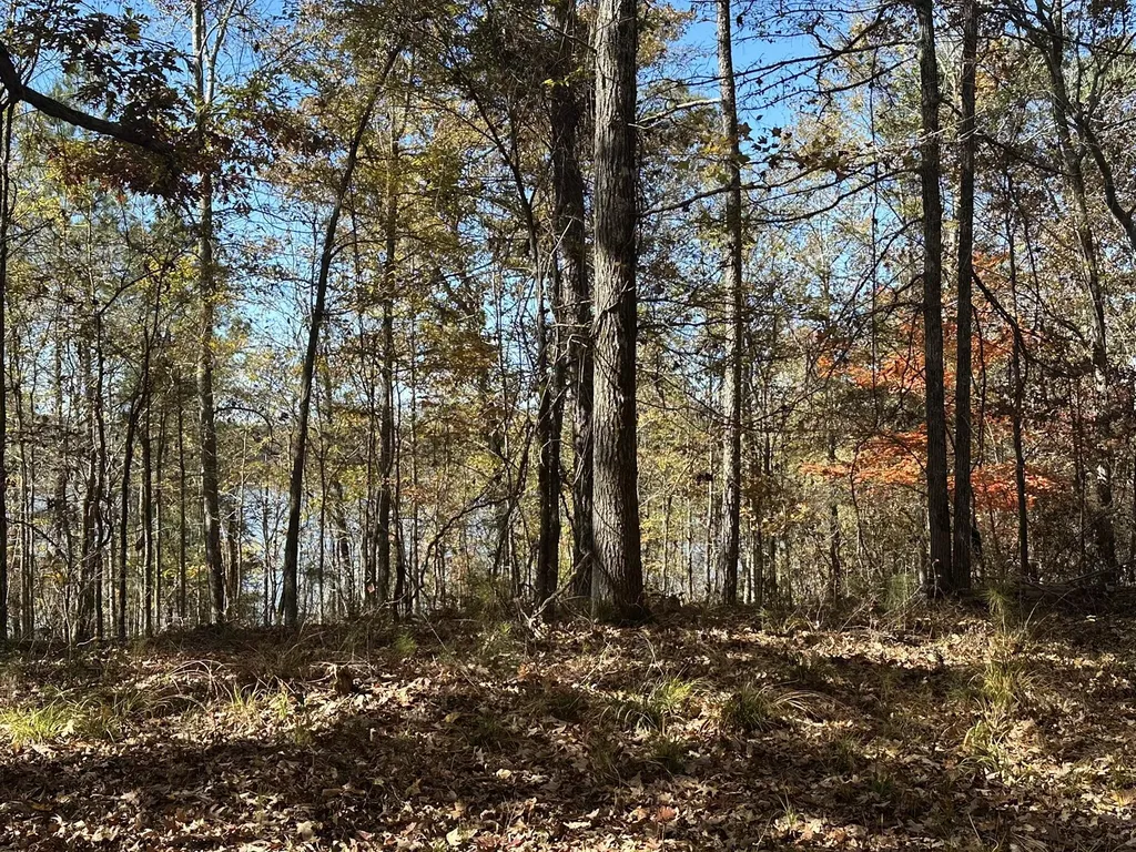 Lot 27&28 Lakeshore Estates Drive Lincolnton GA 30817