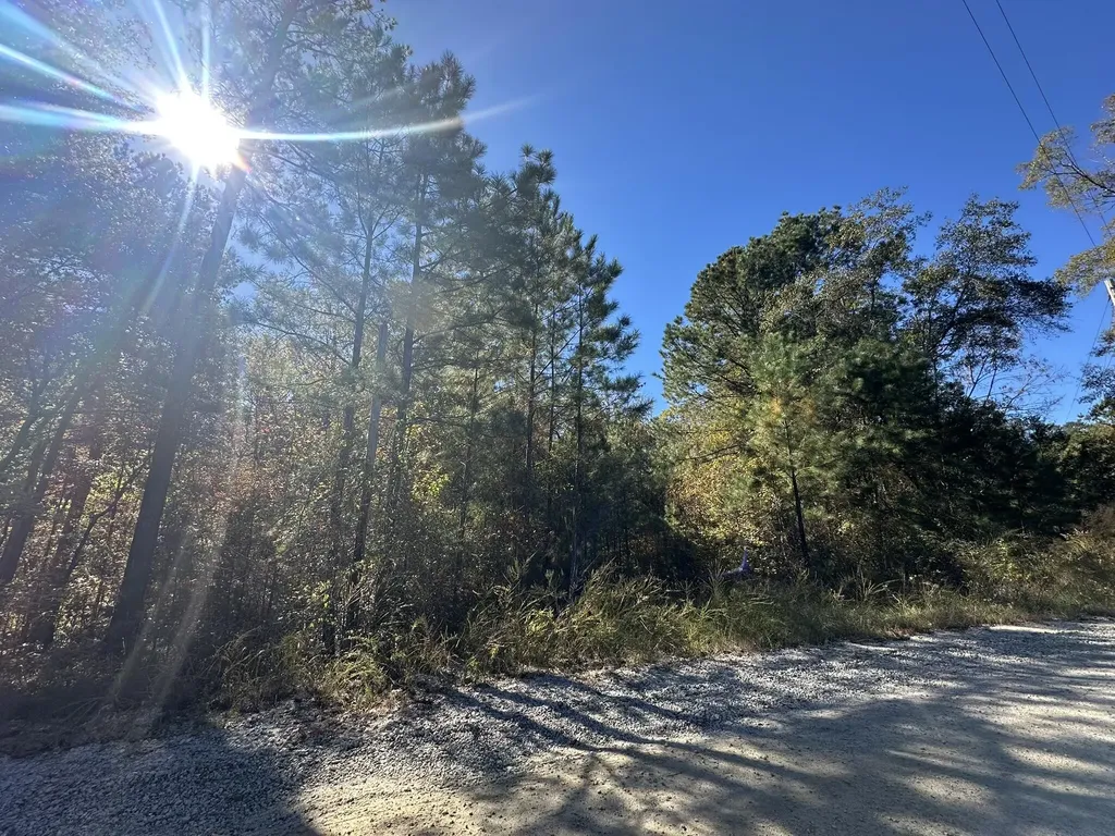 Lot 27&28 Lakeshore Estates Drive Lincolnton GA 30817