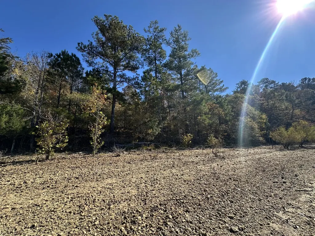 Lot 27&28 Lakeshore Estates Drive Lincolnton GA 30817