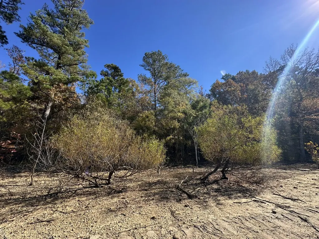 Lot 27&28 Lakeshore Estates Drive Lincolnton GA 30817