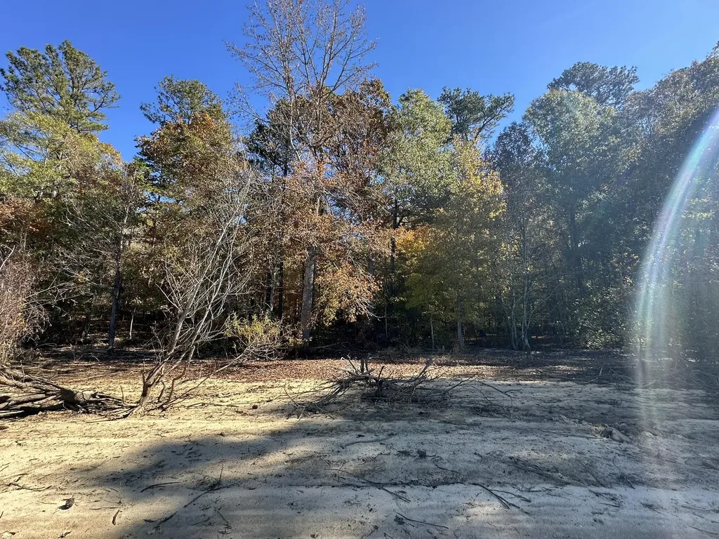 Lot 27&28 Lakeshore Estates Drive Lincolnton GA 30817