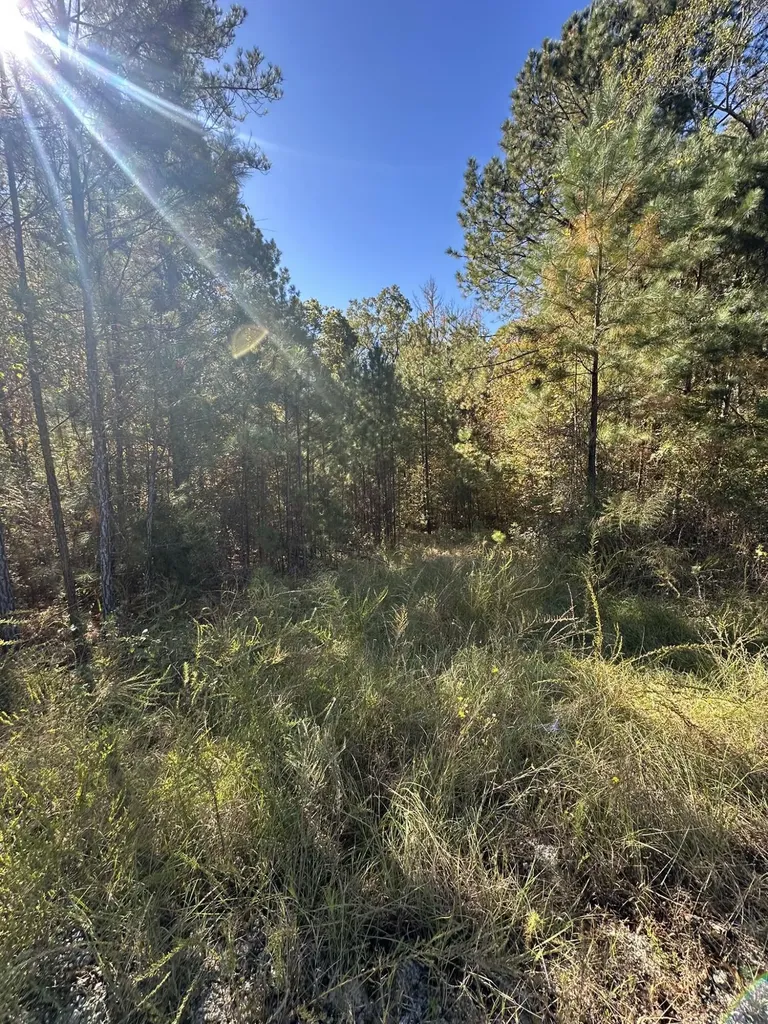 Lot 27&28 Lakeshore Estates Drive Lincolnton GA 30817