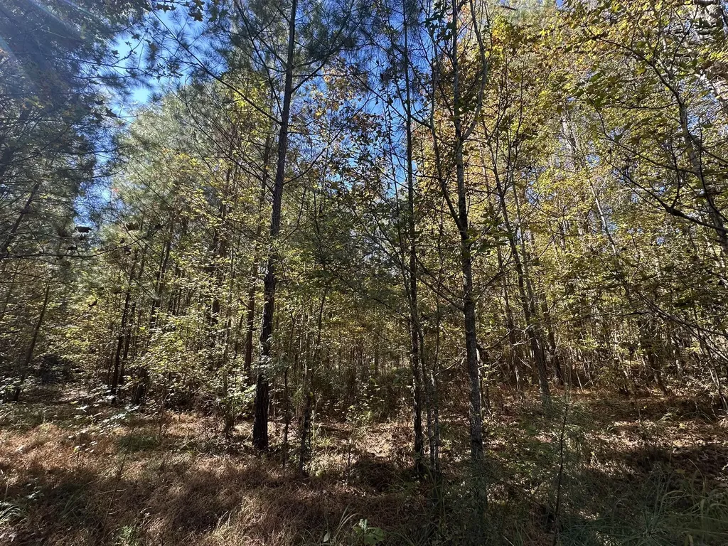 Lot 27&28 Lakeshore Estates Drive Lincolnton GA 30817
