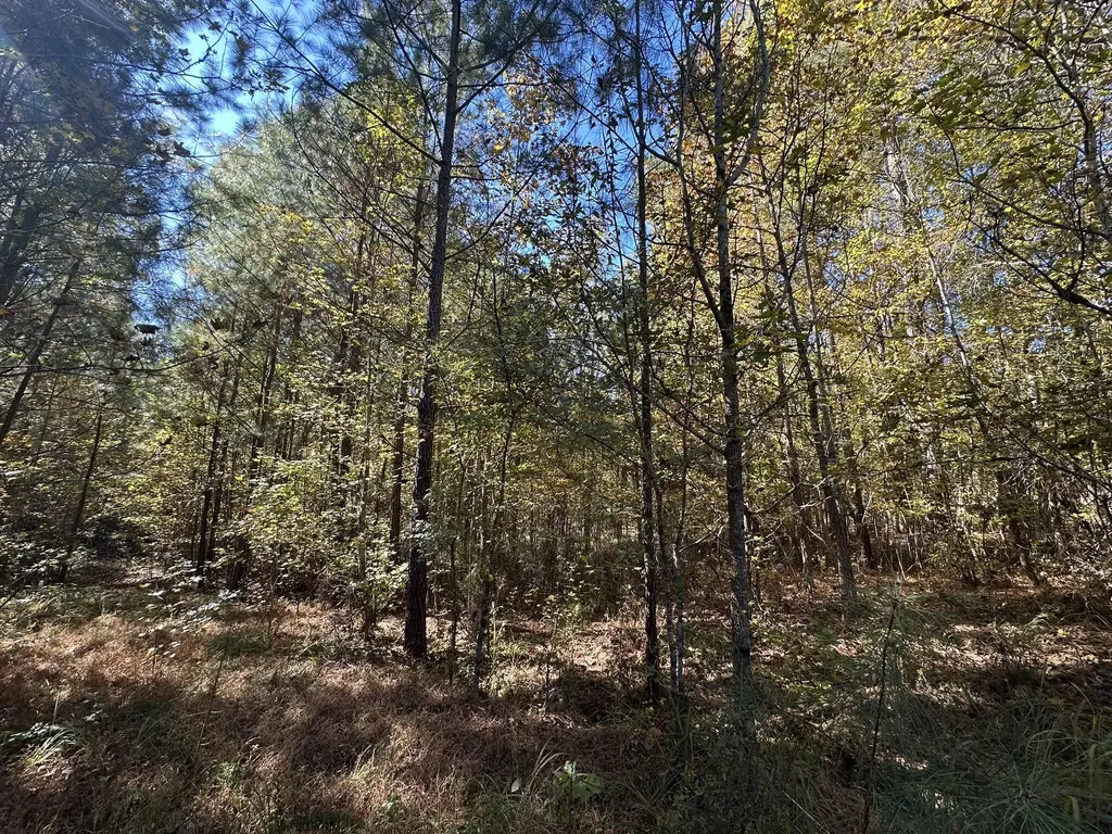 Lot 27&28 Lakeshore Estates Drive Lincolnton GA 30817