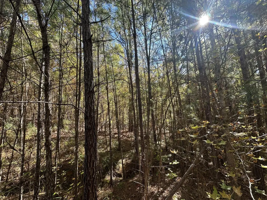 Lot 27&28 Lakeshore Estates Drive Lincolnton GA 30817
