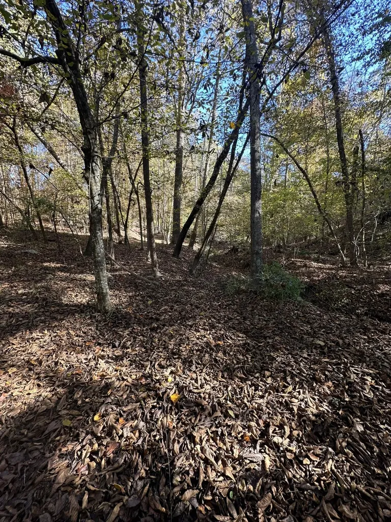 Lot 27&28 Lakeshore Estates Drive Lincolnton GA 30817