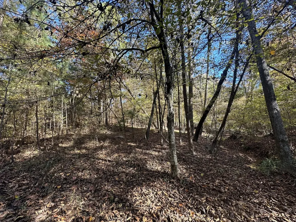 Lot 27&28 Lakeshore Estates Drive Lincolnton GA 30817