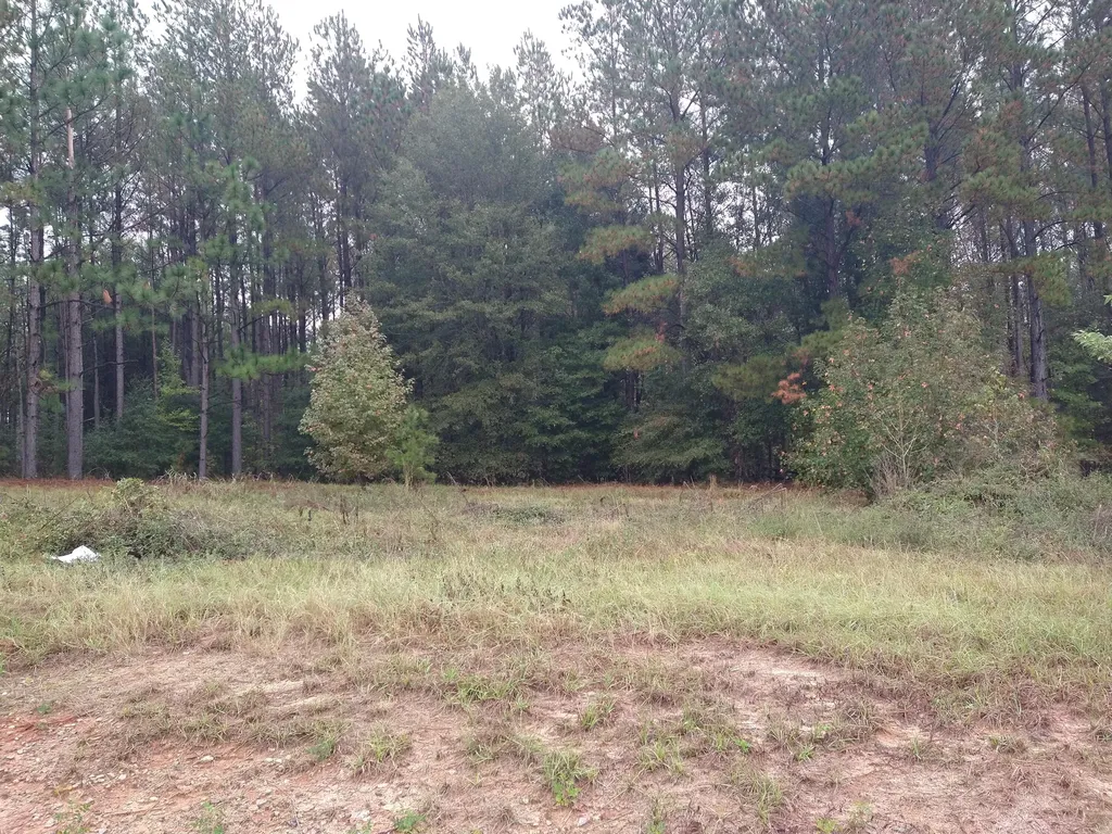 0 Gresham Road Keysville GA 30816