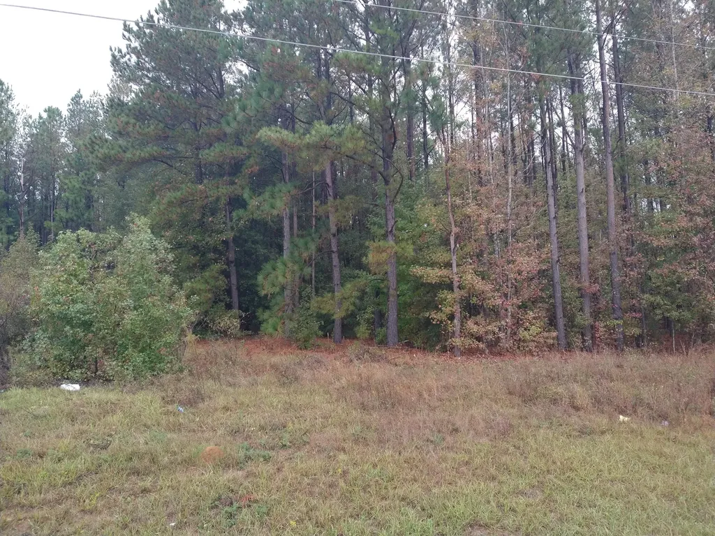 0 Gresham Road Keysville GA 30816