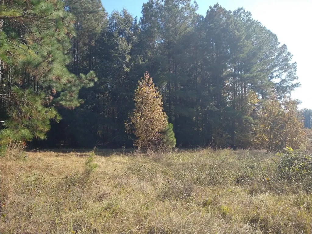 0 Gresham Road Keysville GA 30816