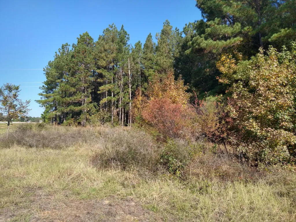 0 Gresham Road Keysville GA 30816