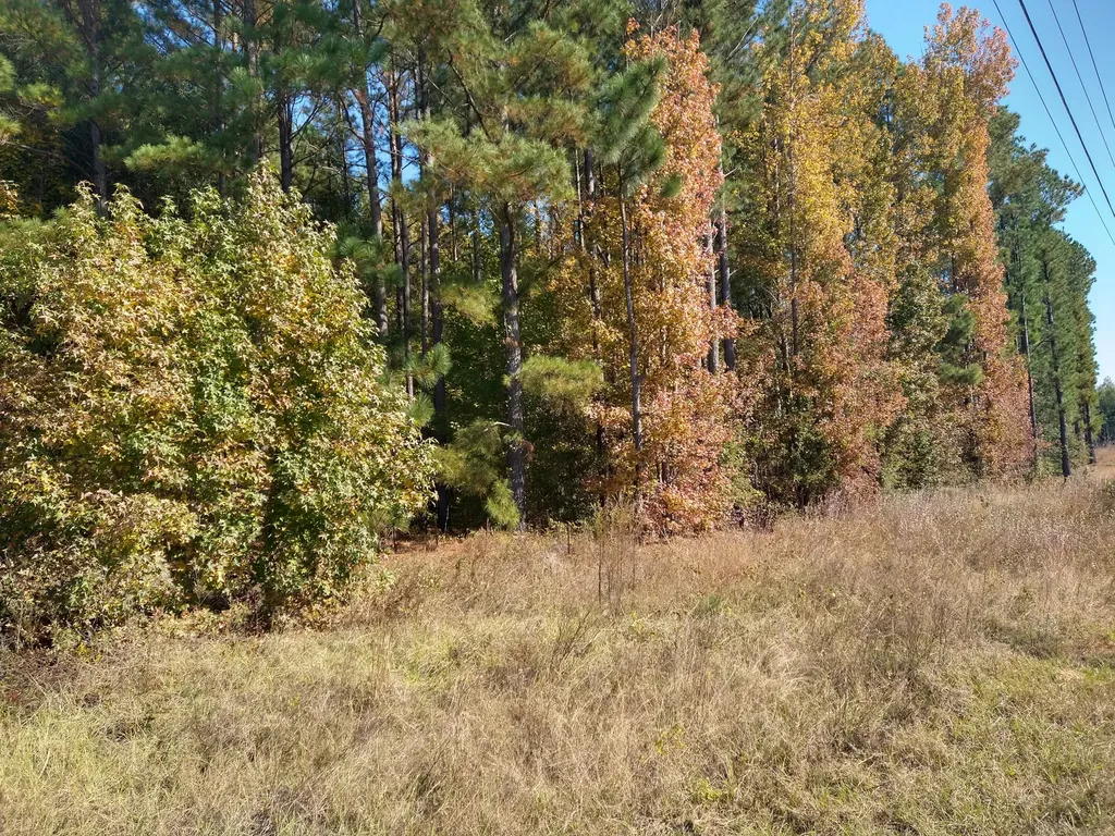 0 Gresham Road Keysville GA 30816