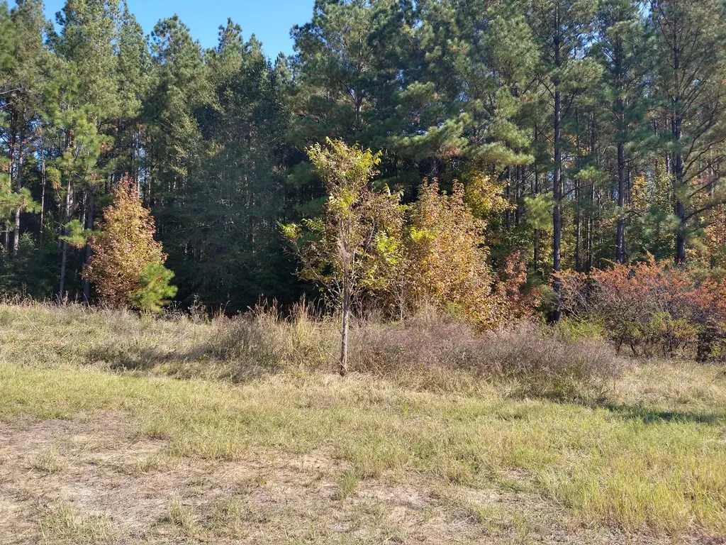 0 Gresham Road Keysville GA 30816