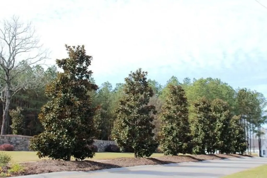 1229 Yost Drive Appling GA 30802