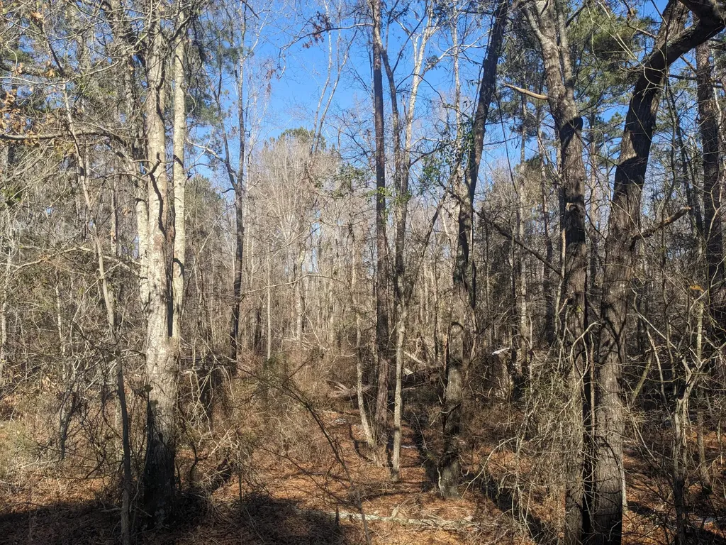 Appling GA 30802