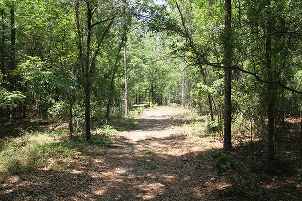 1515H Hephzibah - Mcbean Road Hephzibah GA 30815