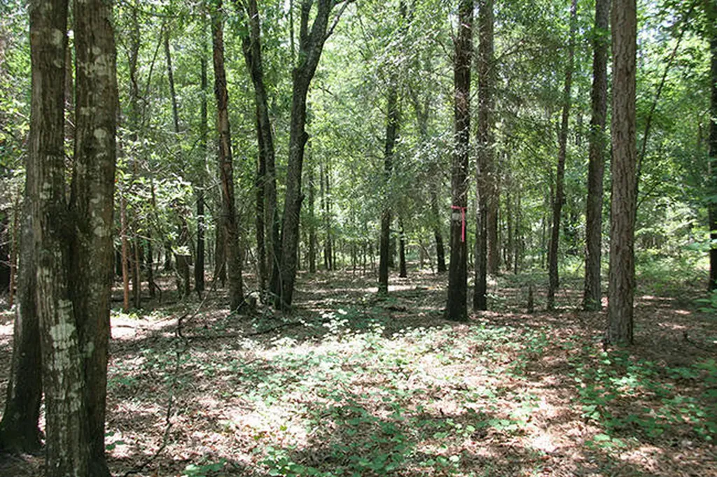 1515H Hephzibah - Mcbean Road Hephzibah GA 30815