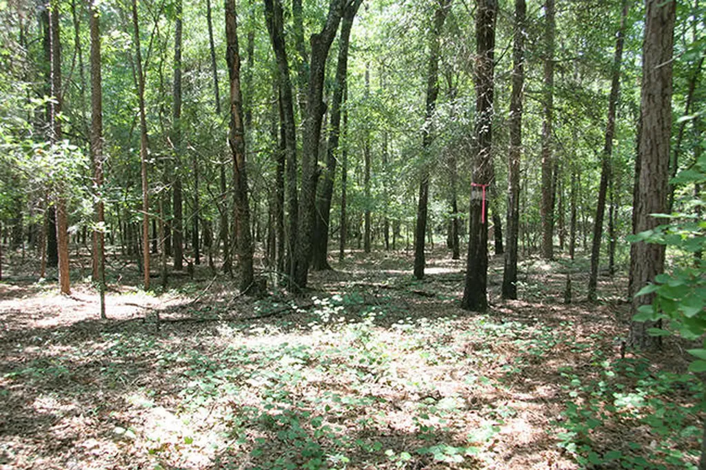 1515H Hephzibah - Mcbean Road Hephzibah GA 30815