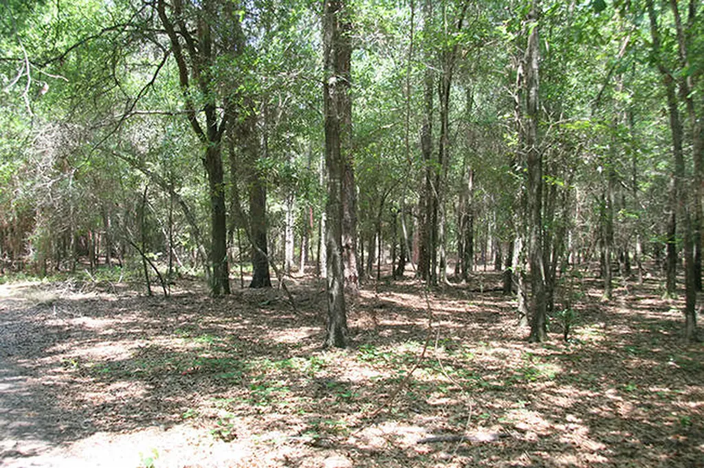 1515H Hephzibah - Mcbean Road Hephzibah GA 30815
