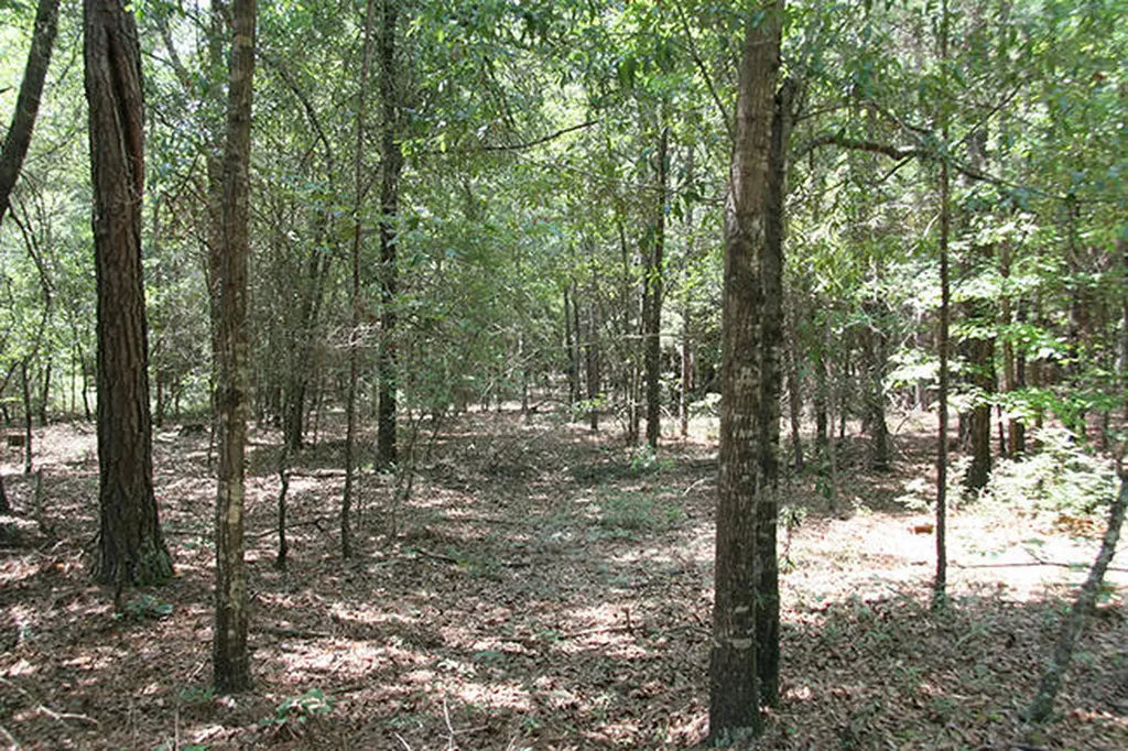 1515H Hephzibah - Mcbean Road Hephzibah GA 30815