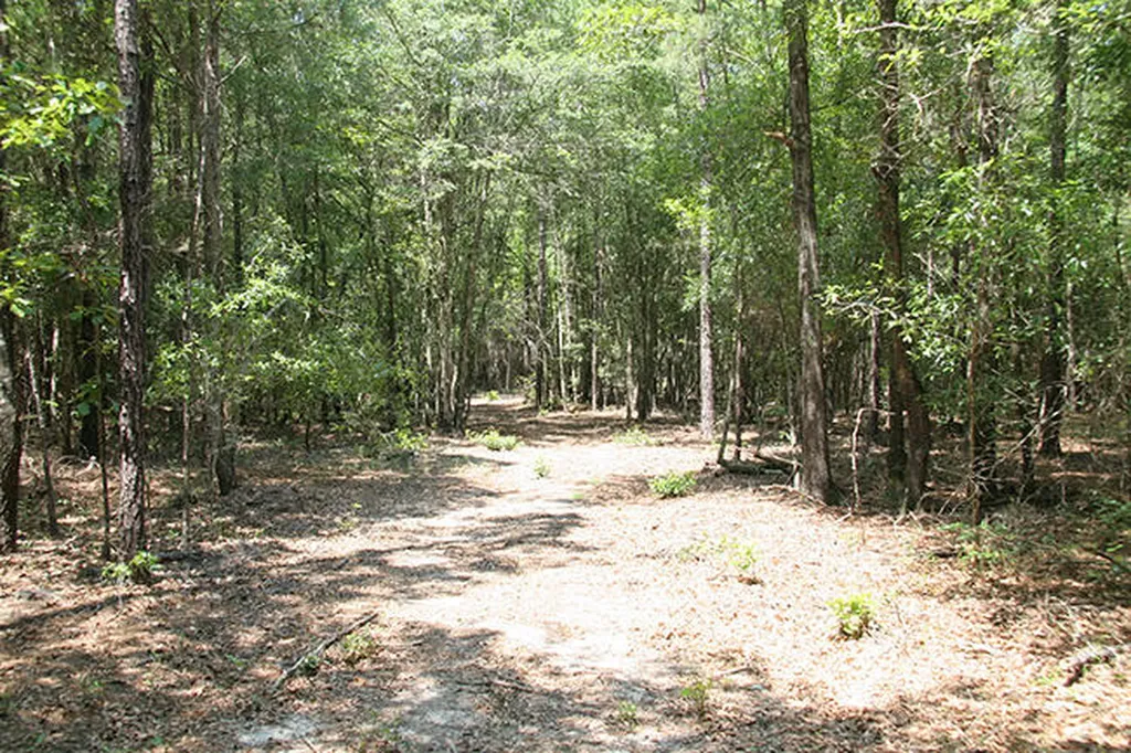 1515H Hephzibah - Mcbean Road Hephzibah GA 30815