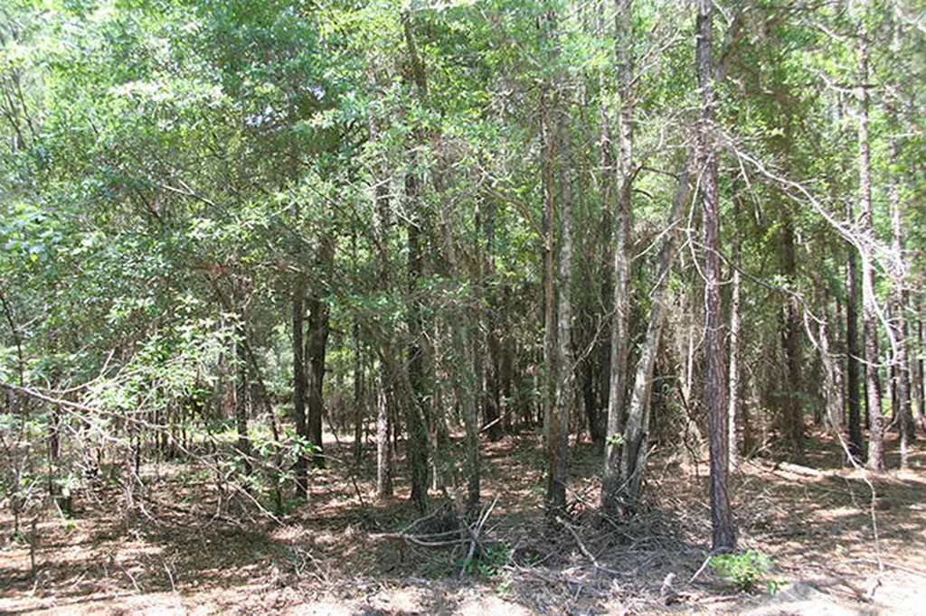 1515H Hephzibah - Mcbean Road Hephzibah GA 30815