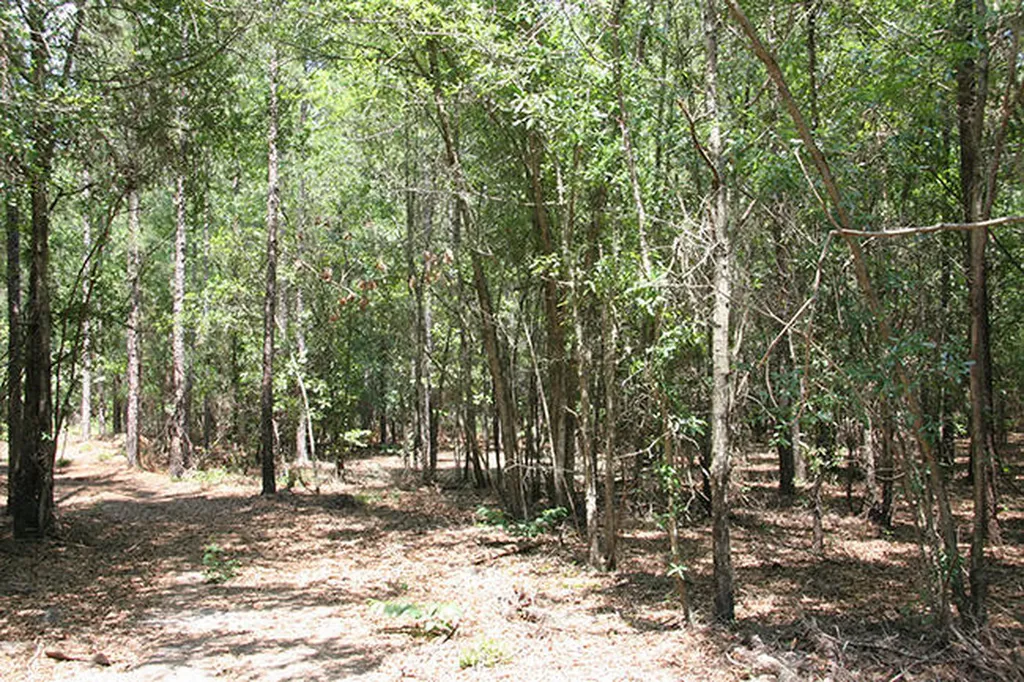 1515H Hephzibah - Mcbean Road Hephzibah GA 30815