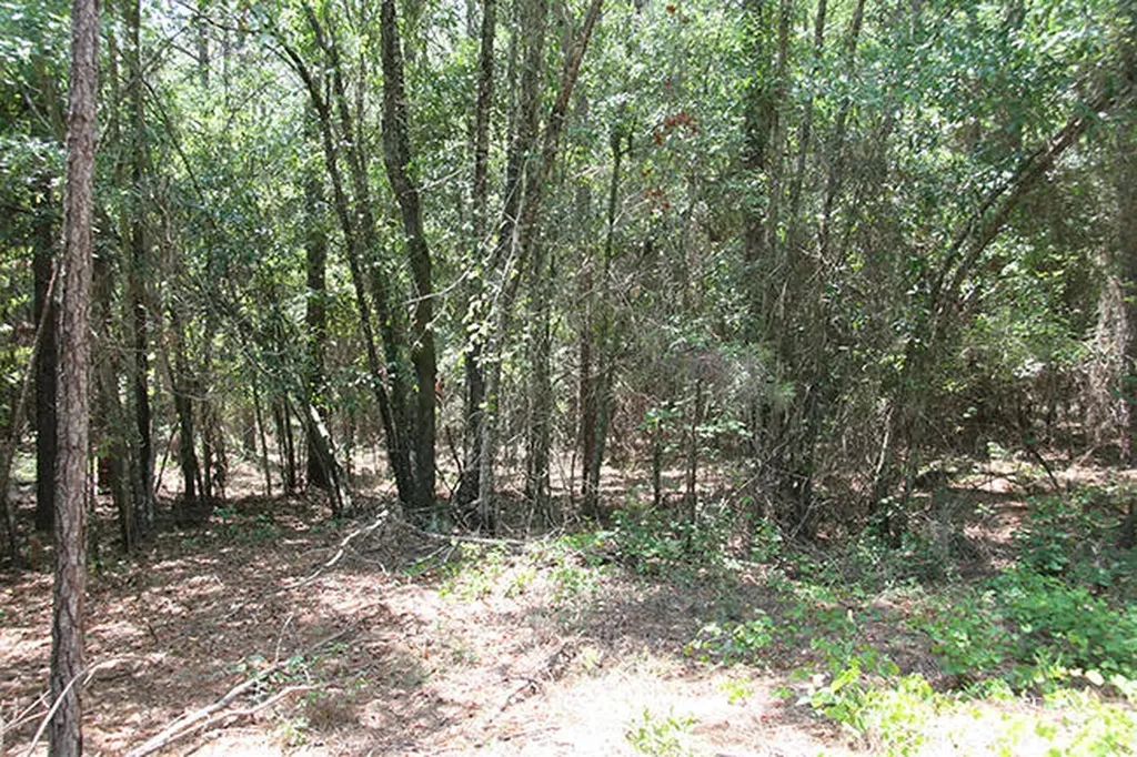 1515H Hephzibah - Mcbean Road Hephzibah GA 30815
