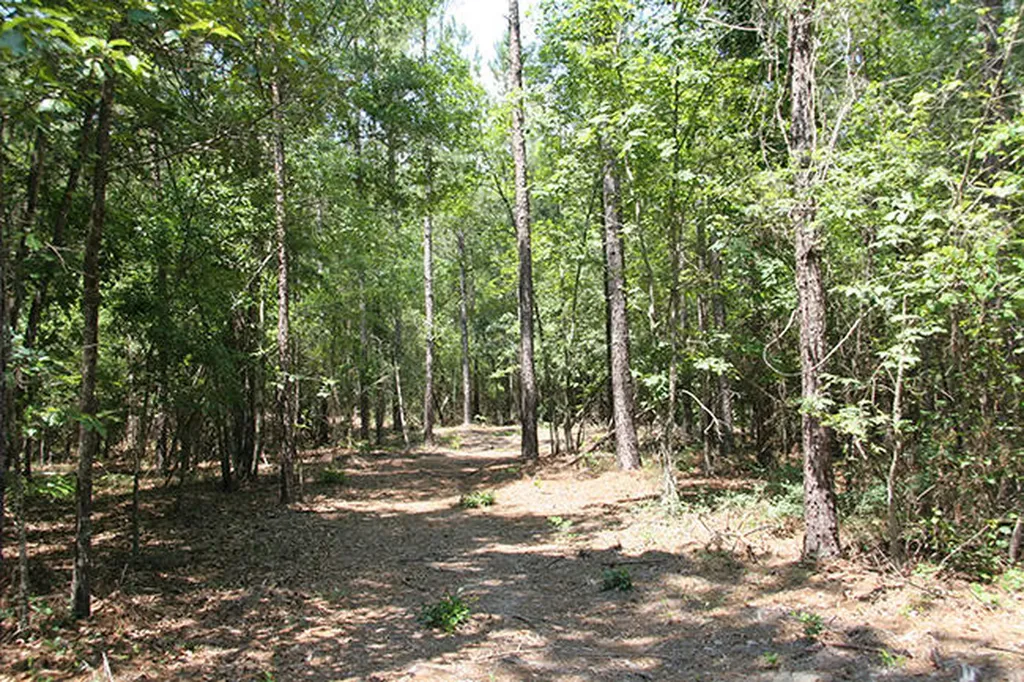 1515H Hephzibah - Mcbean Road Hephzibah GA 30815