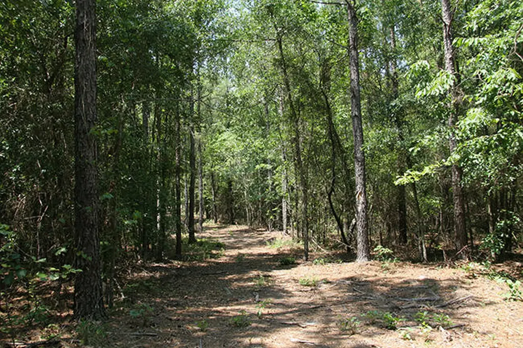 1515H Hephzibah - Mcbean Road Hephzibah GA 30815