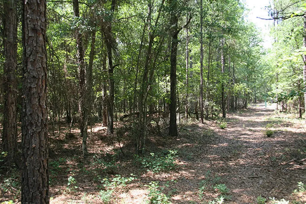 1515H Hephzibah - Mcbean Road Hephzibah GA 30815