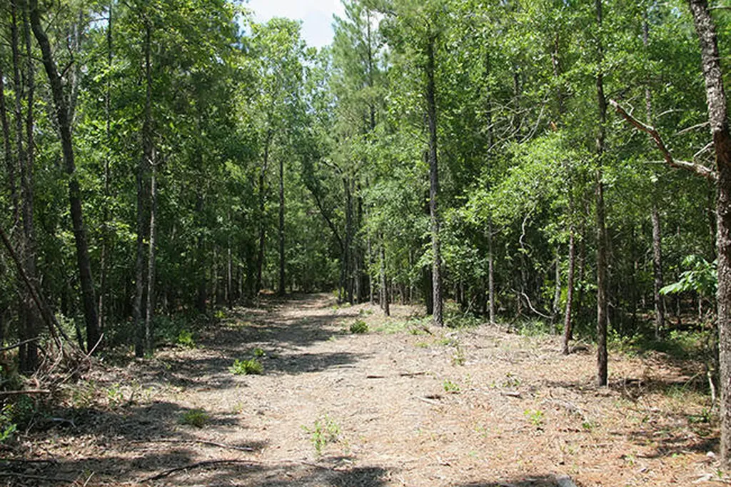 1515H Hephzibah - Mcbean Road Hephzibah GA 30815