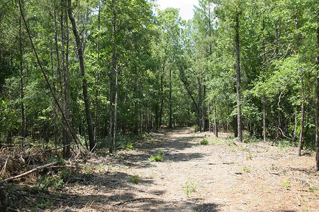 1515H Hephzibah - Mcbean Road Hephzibah GA 30815