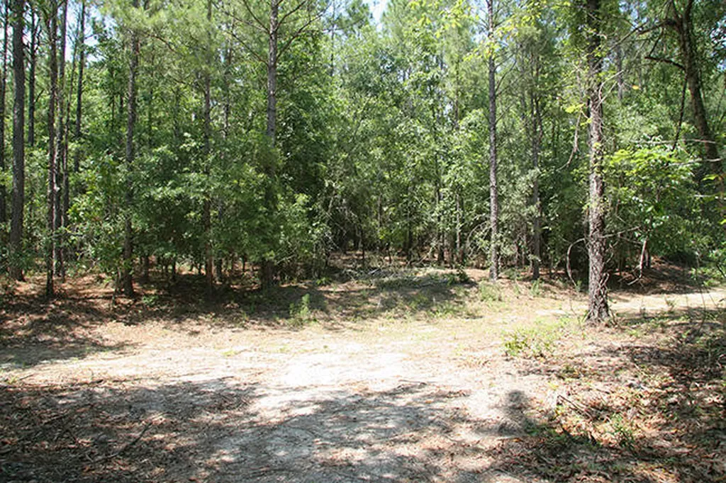 1515H Hephzibah - Mcbean Road Hephzibah GA 30815