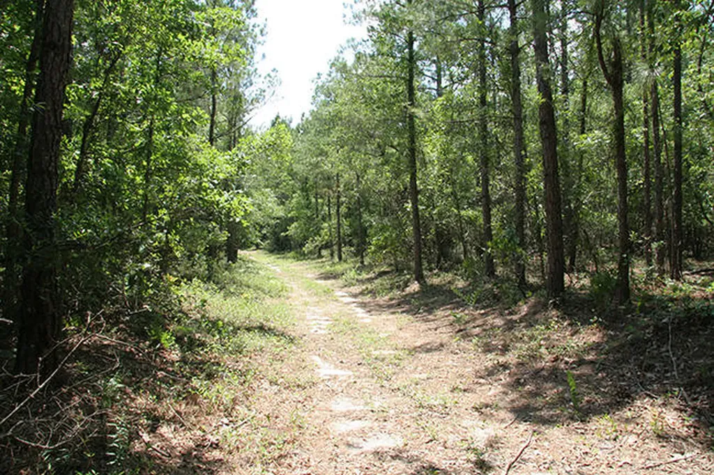 1515H Hephzibah - Mcbean Road Hephzibah GA 30815