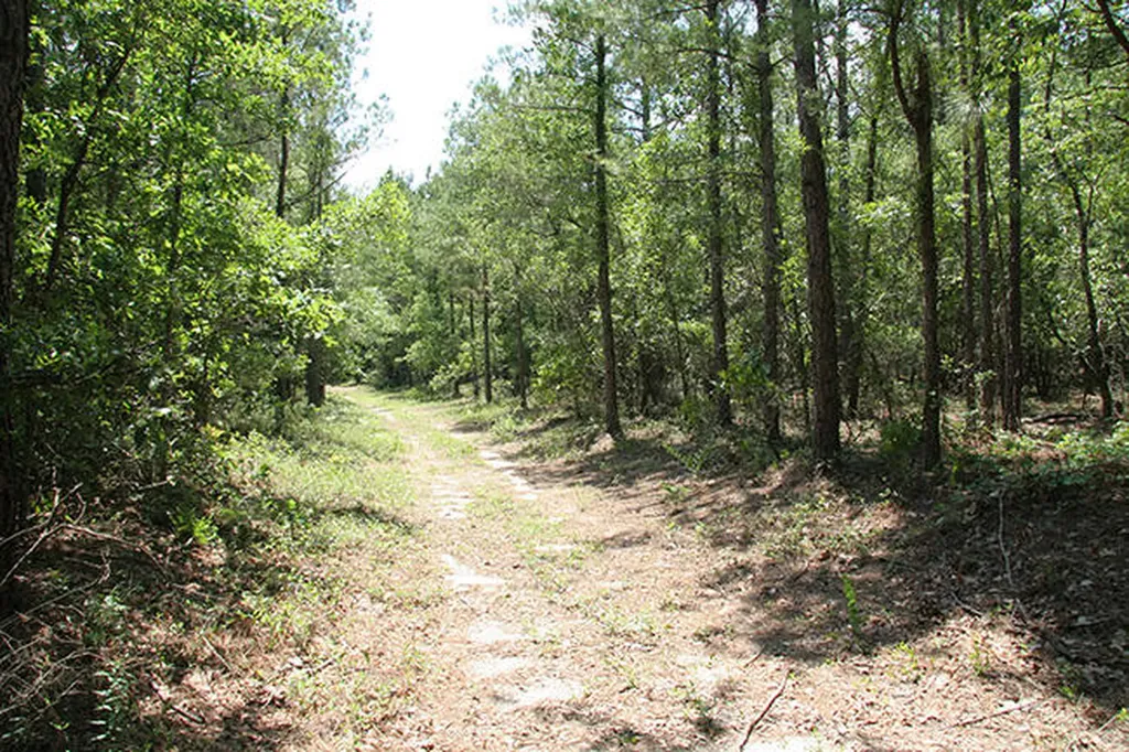 1515H Hephzibah - Mcbean Road Hephzibah GA 30815