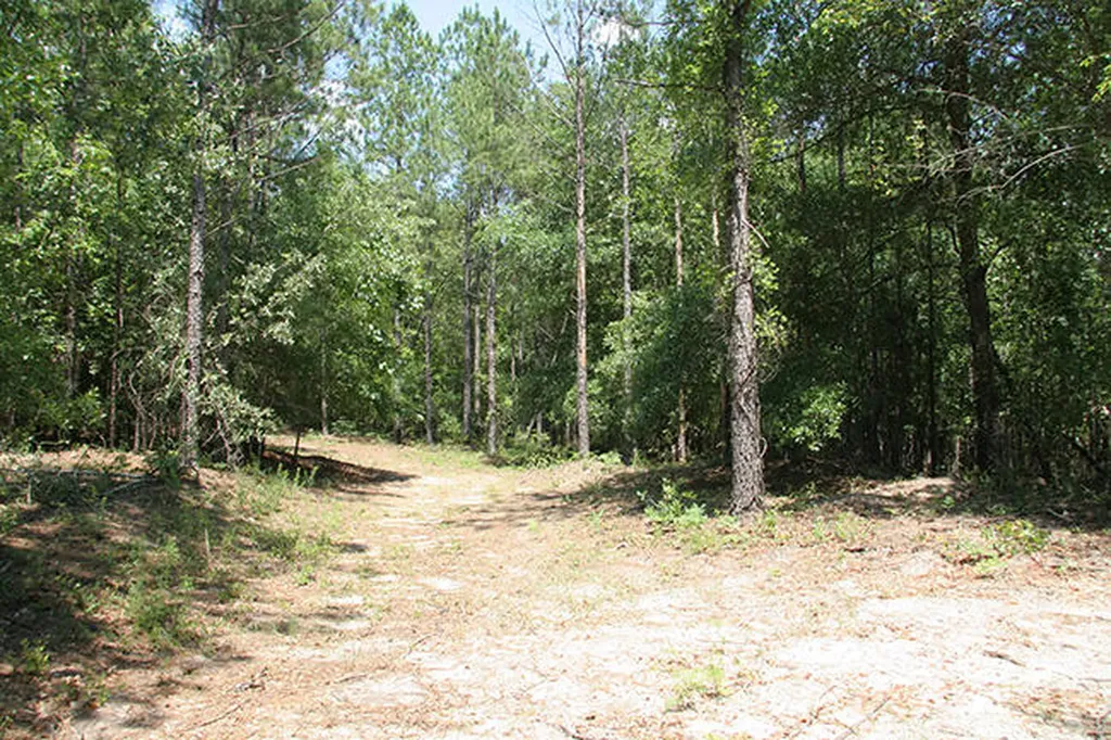 1515H Hephzibah - Mcbean Road Hephzibah GA 30815