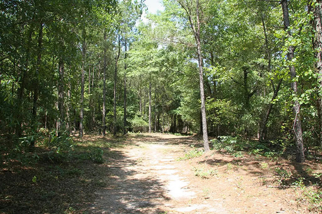 1515H Hephzibah - Mcbean Road Hephzibah GA 30815