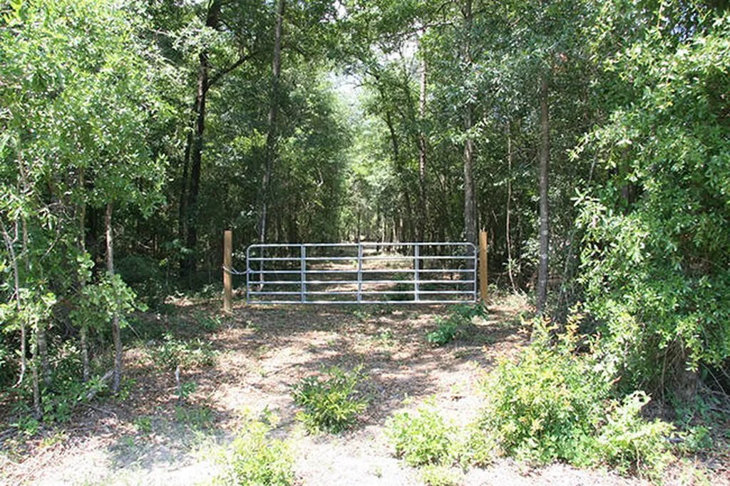 1515H Hephzibah - Mcbean Road Hephzibah GA 30815