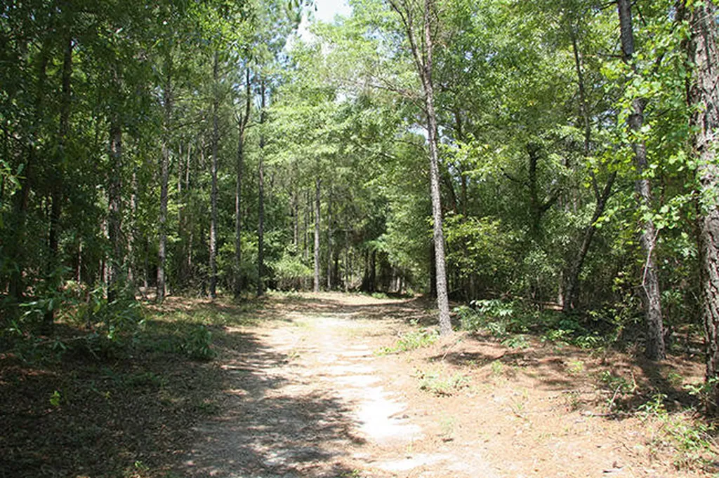 1515H Hephzibah - Mcbean Road Hephzibah GA 30815