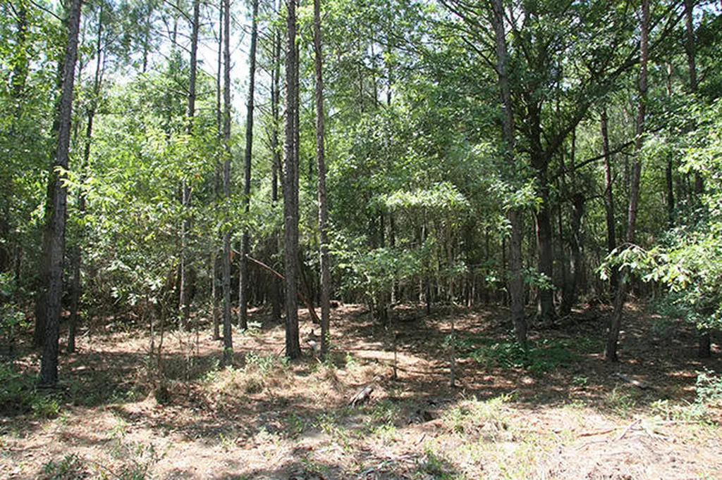 1515H Hephzibah - Mcbean Road Hephzibah GA 30815
