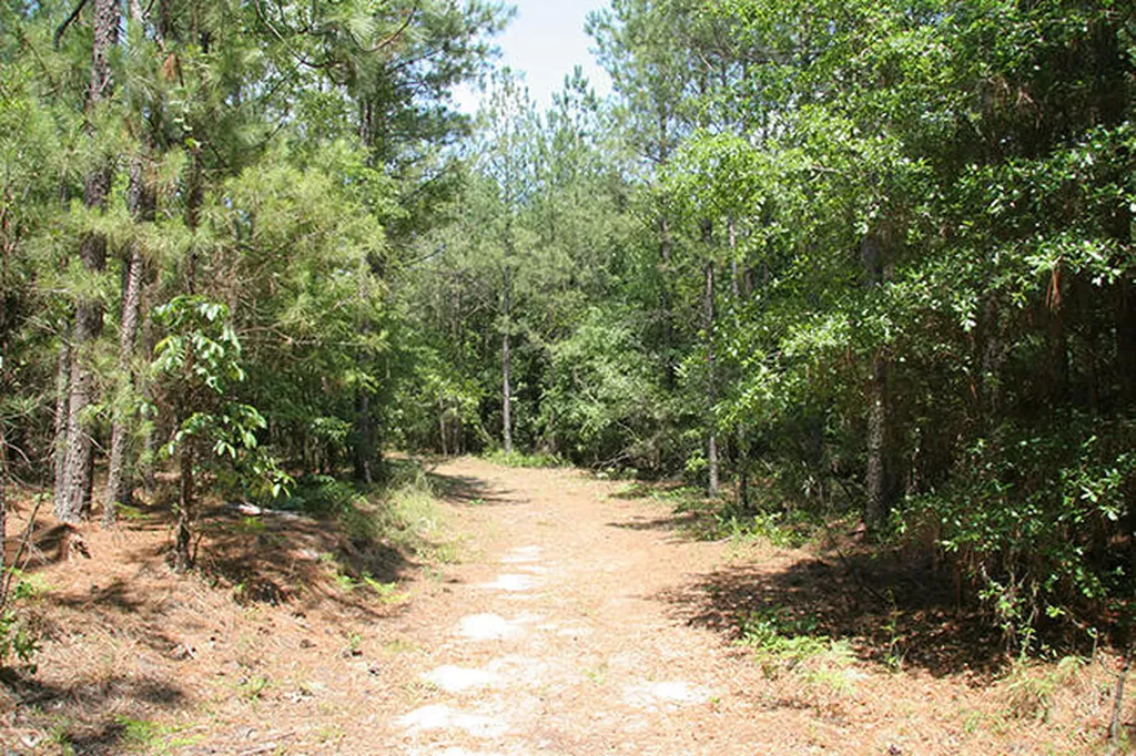 1515H Hephzibah - Mcbean Road Hephzibah GA 30815