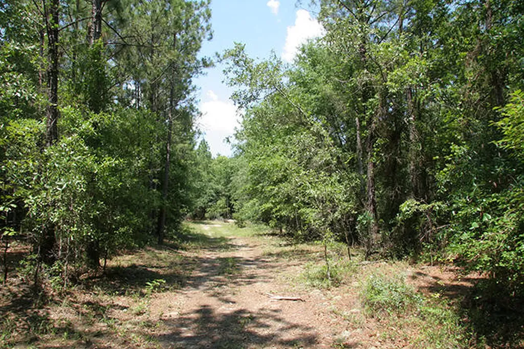 1515H Hephzibah - Mcbean Road Hephzibah GA 30815