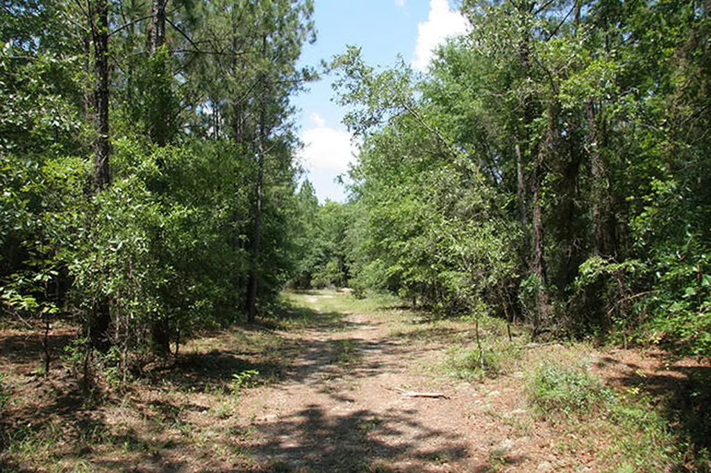 1515H Hephzibah - Mcbean Road Hephzibah GA 30815
