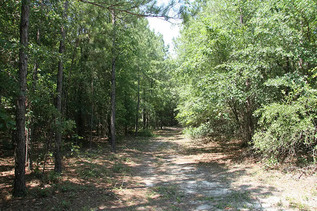 1515H Hephzibah - Mcbean Road Hephzibah GA 30815