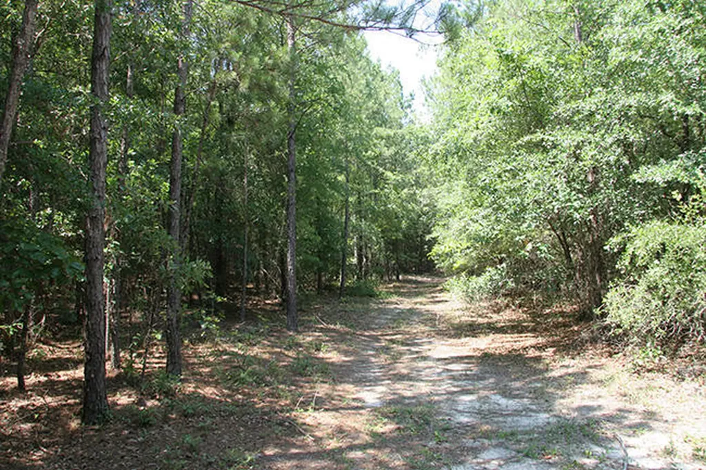 1515H Hephzibah - Mcbean Road Hephzibah GA 30815