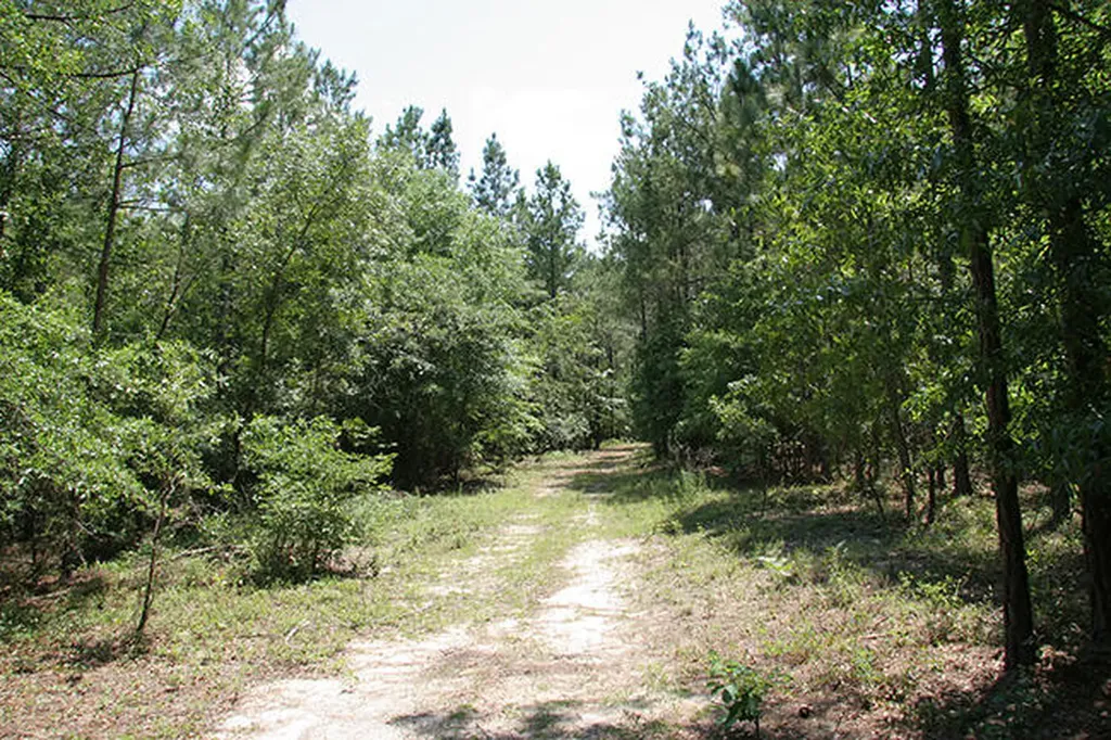 1515H Hephzibah - Mcbean Road Hephzibah GA 30815