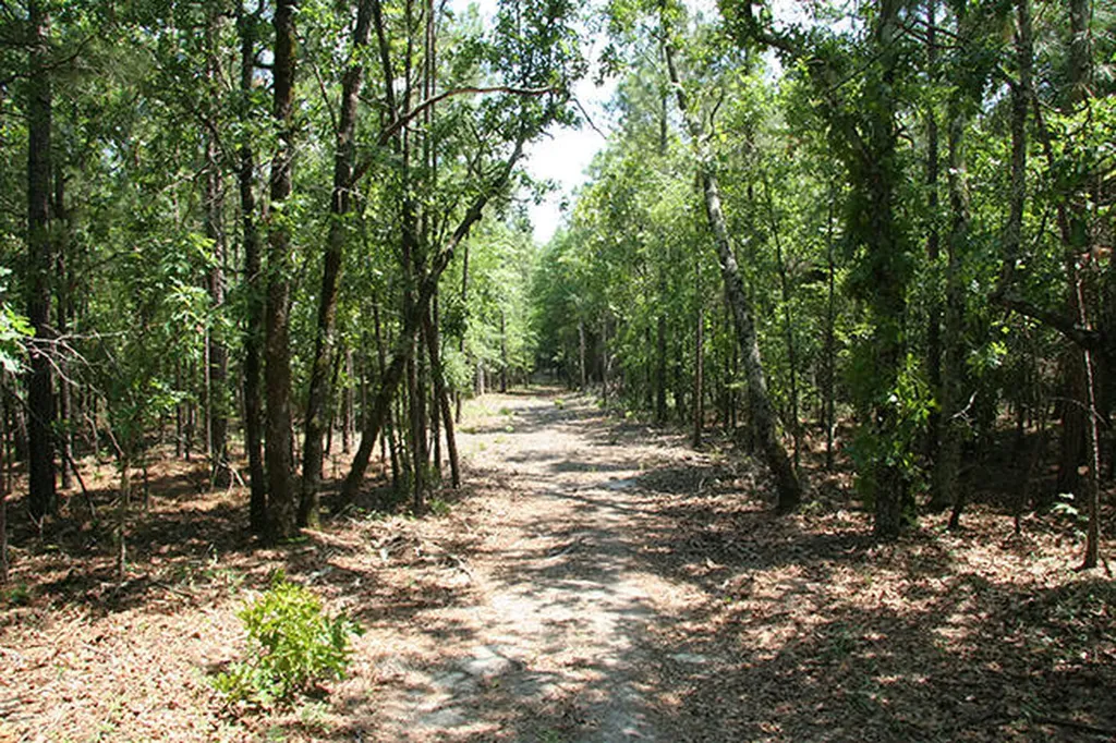 1515H Hephzibah - Mcbean Road Hephzibah GA 30815