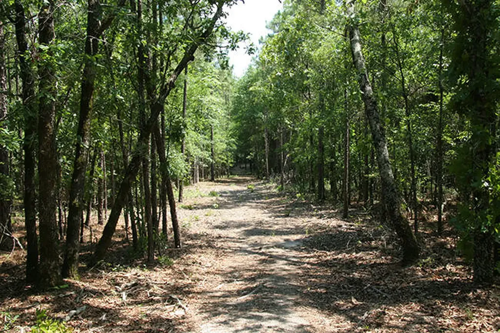 1515H Hephzibah - Mcbean Road Hephzibah GA 30815